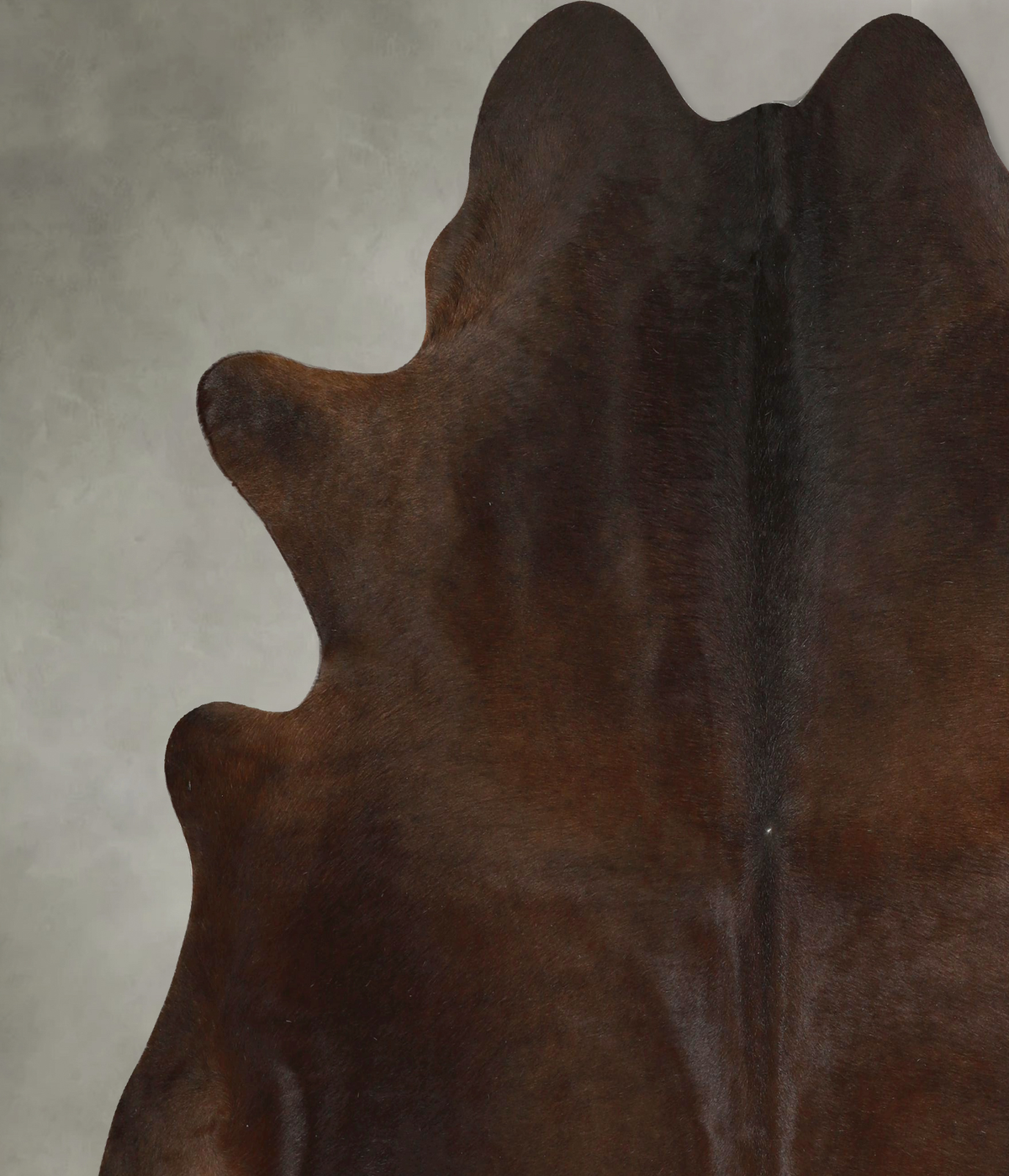 Chocolate X-Large Brazilian Cowhide Rug 7'1"H x 6'11"W #A49899 by Hudson Hides