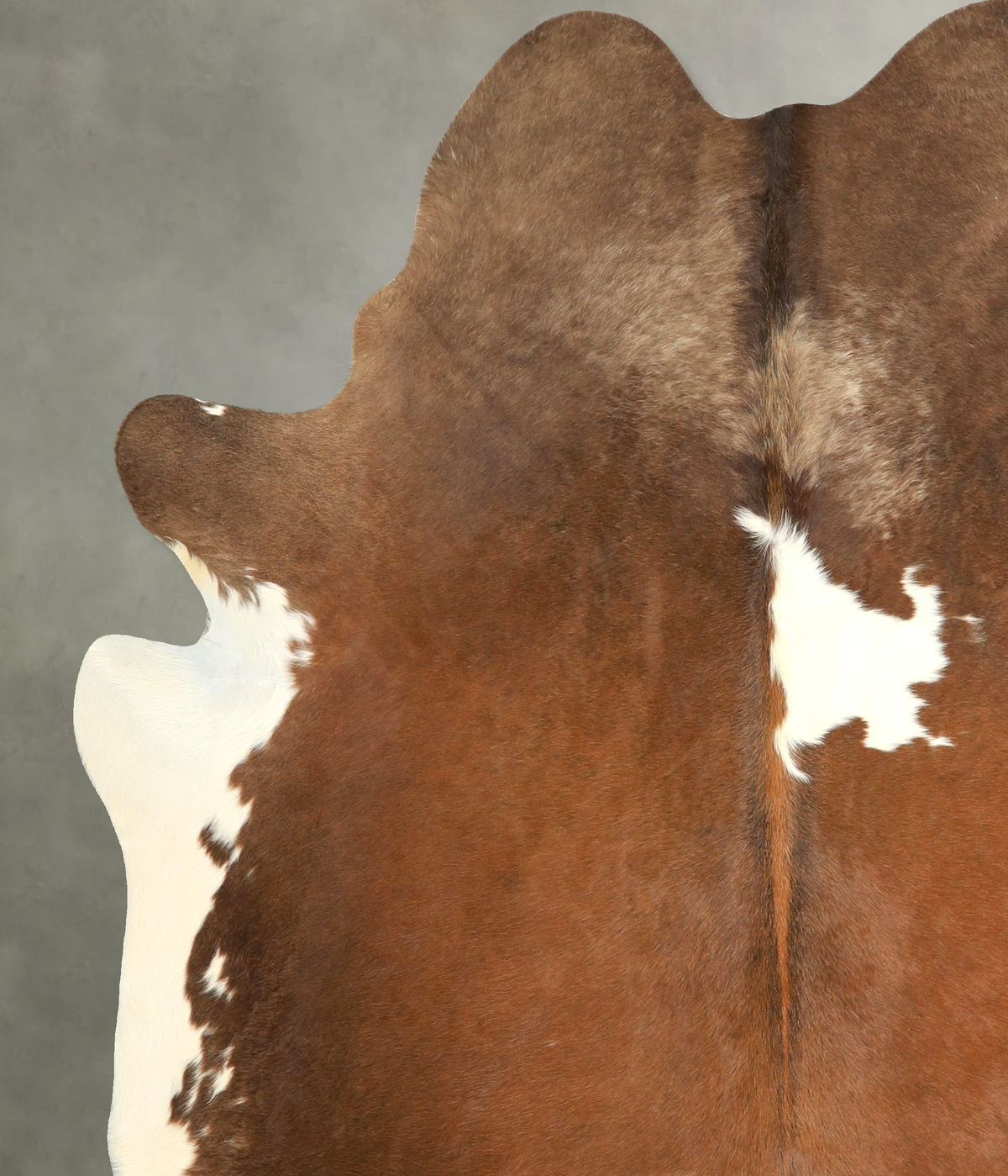Chocolate and White X-Large Brazilian Cowhide Rug 7'1"H x 6'3"W #A49908 by Hudson Hides