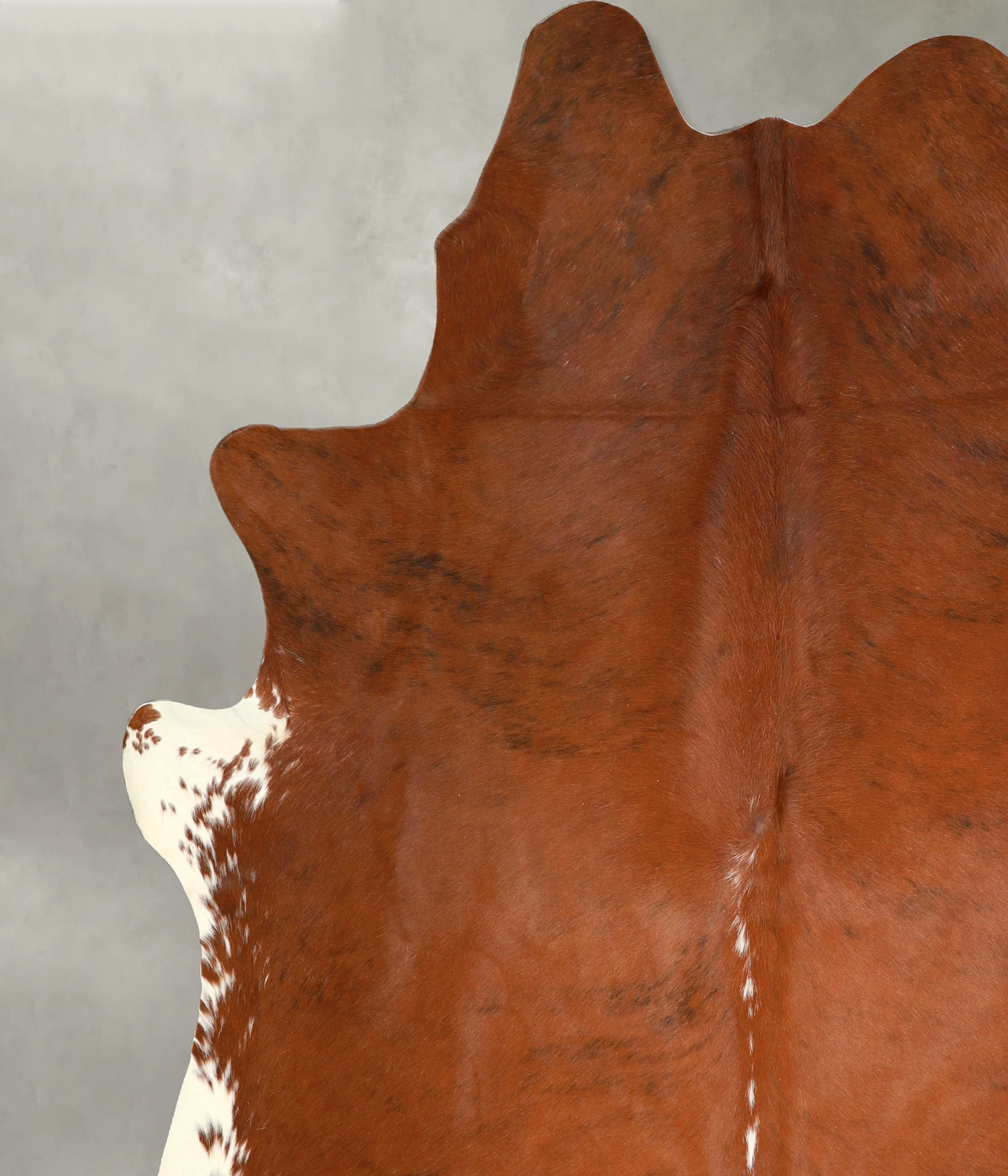 Medium Brindle XX-Large Brazilian Cowhide Rug 8'2"H x 7'5"W #A49910 by Hudson Hides