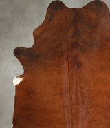 Medium Brindle X-Large Brazilian Cowhide Rug 7'5"H x 6'3"W #A49917 by Hudson Hides