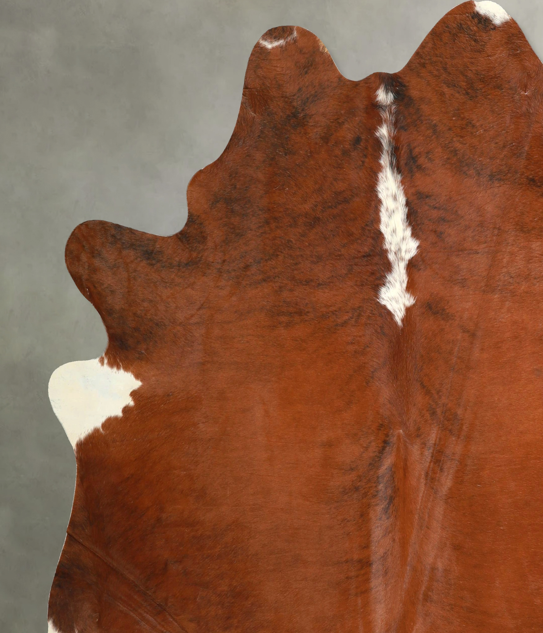Medium Brindle Cowhide Rug #A49921