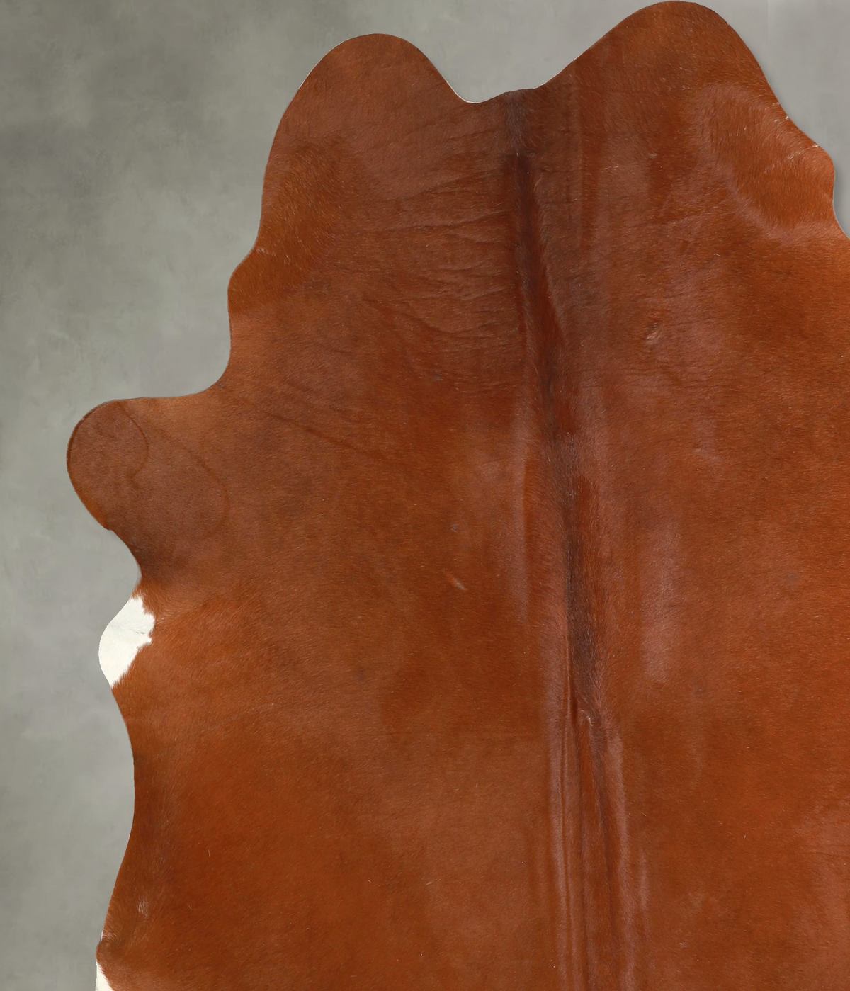 Solid Brown X-Large Brazilian Cowhide Rug 7'2"H x 6'9"W #A49924 by Hudson Hides