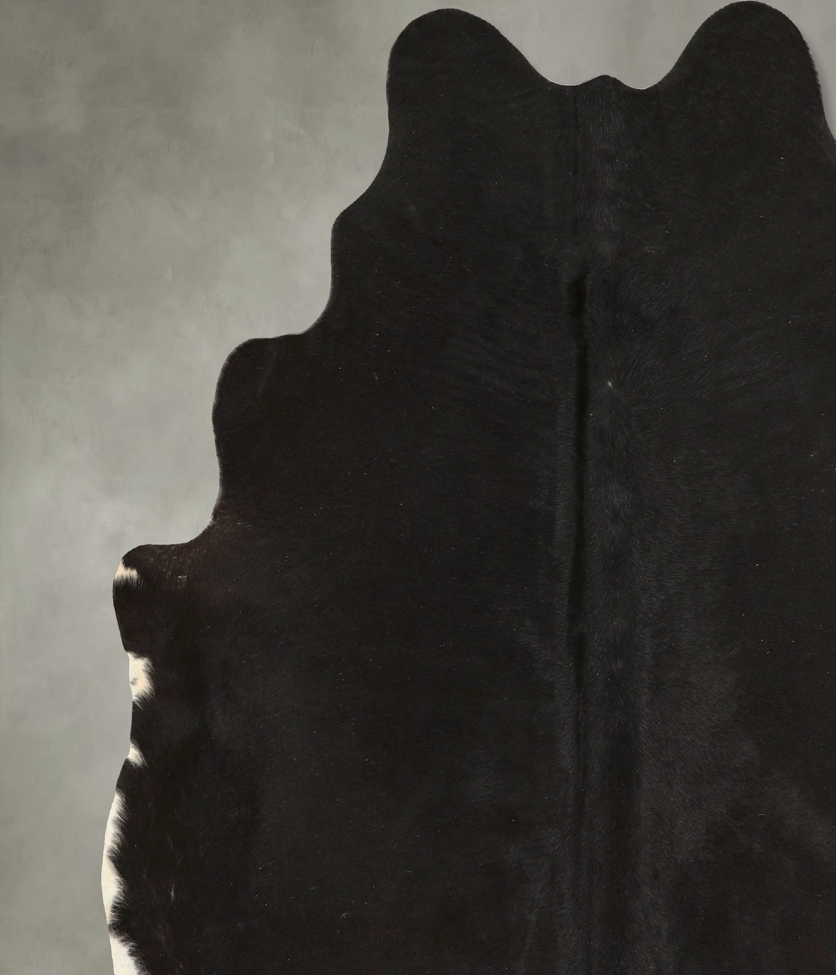 Solid Black X-Large Brazilian Cowhide Rug 6'11"H x 6'7"W #A49925 by Hudson Hides