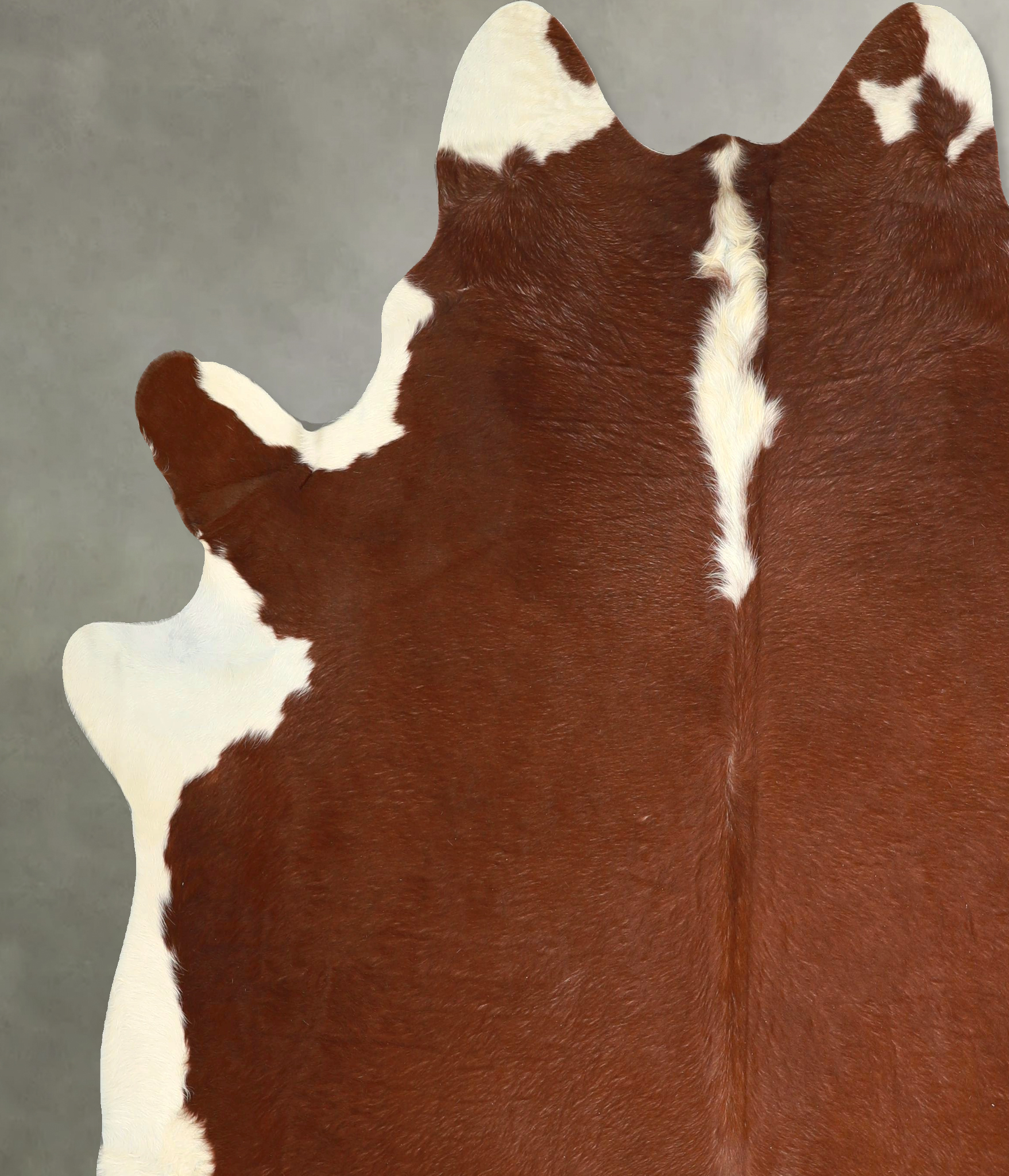 Hereford Cowhide Rug #A49927