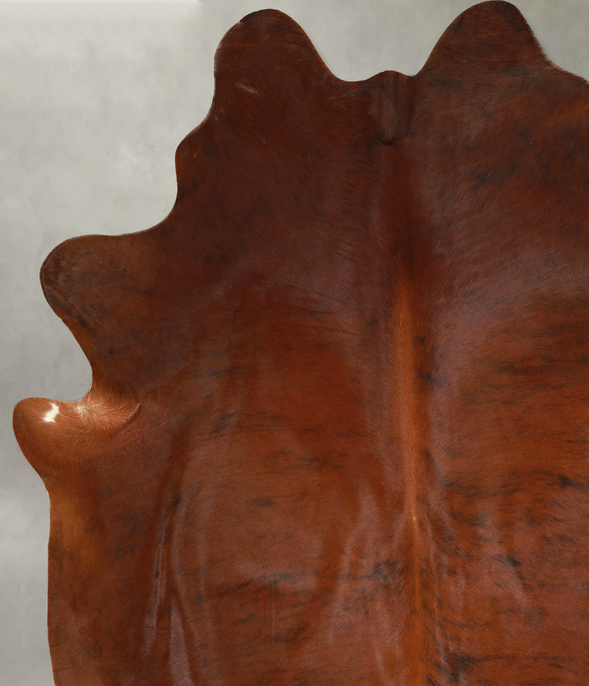 Medium Brindle X-Large Brazilian Cowhide Rug 7'4"H x 6'7"W #A49931 by Hudson Hides