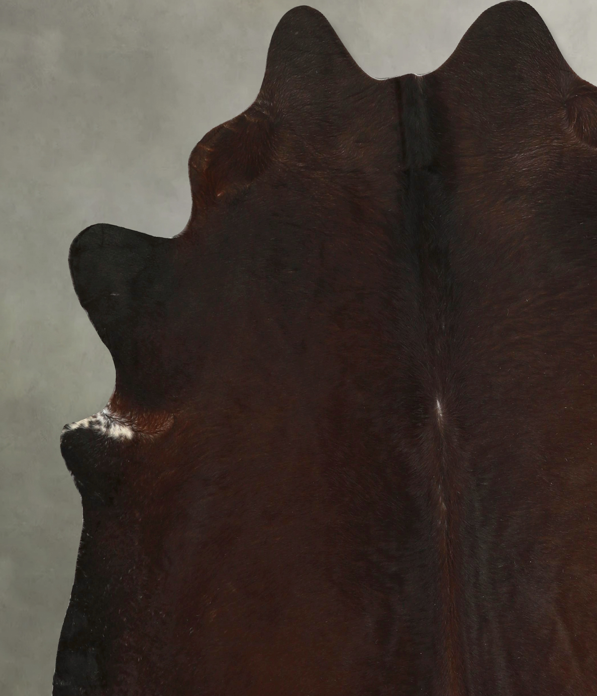 Chocolate X-Large Brazilian Cowhide Rug 7'1"H x 6'6"W #A49935 by Hudson Hides