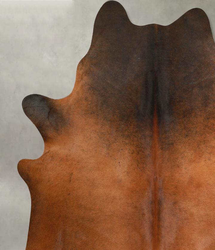 Warm Caramel X-Large Brazilian Cowhide Rug 7'4"H x 6'7"W #A49939 by Hudson Hides