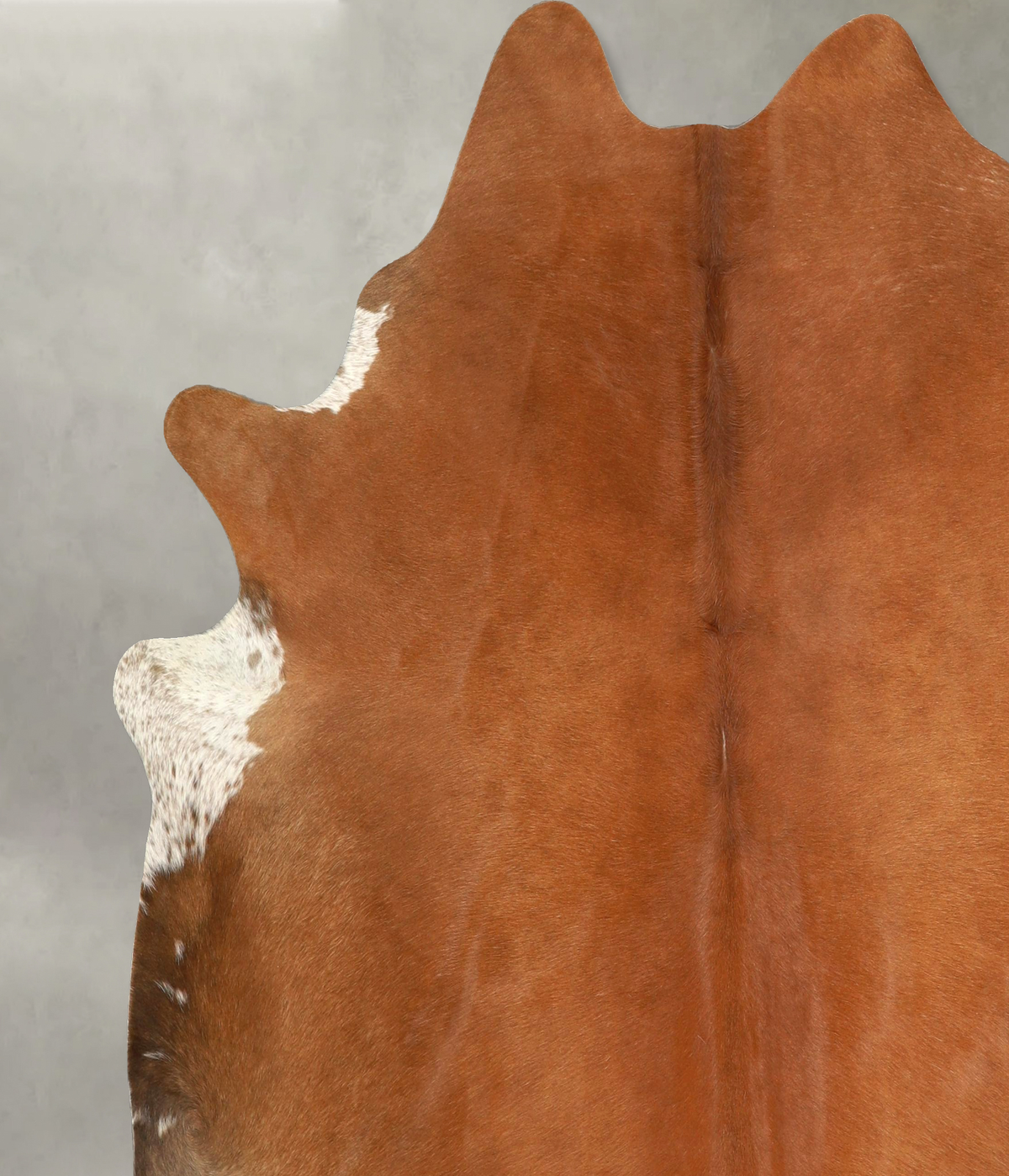 Solid Brown X-Large Brazilian Cowhide Rug 6'11"H x 6'10"W #A49943 by Hudson Hides