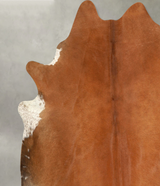 Solid Brown X-Large Brazilian Cowhide Rug 6'11"H x 6'10"W #A49943 by Hudson Hides