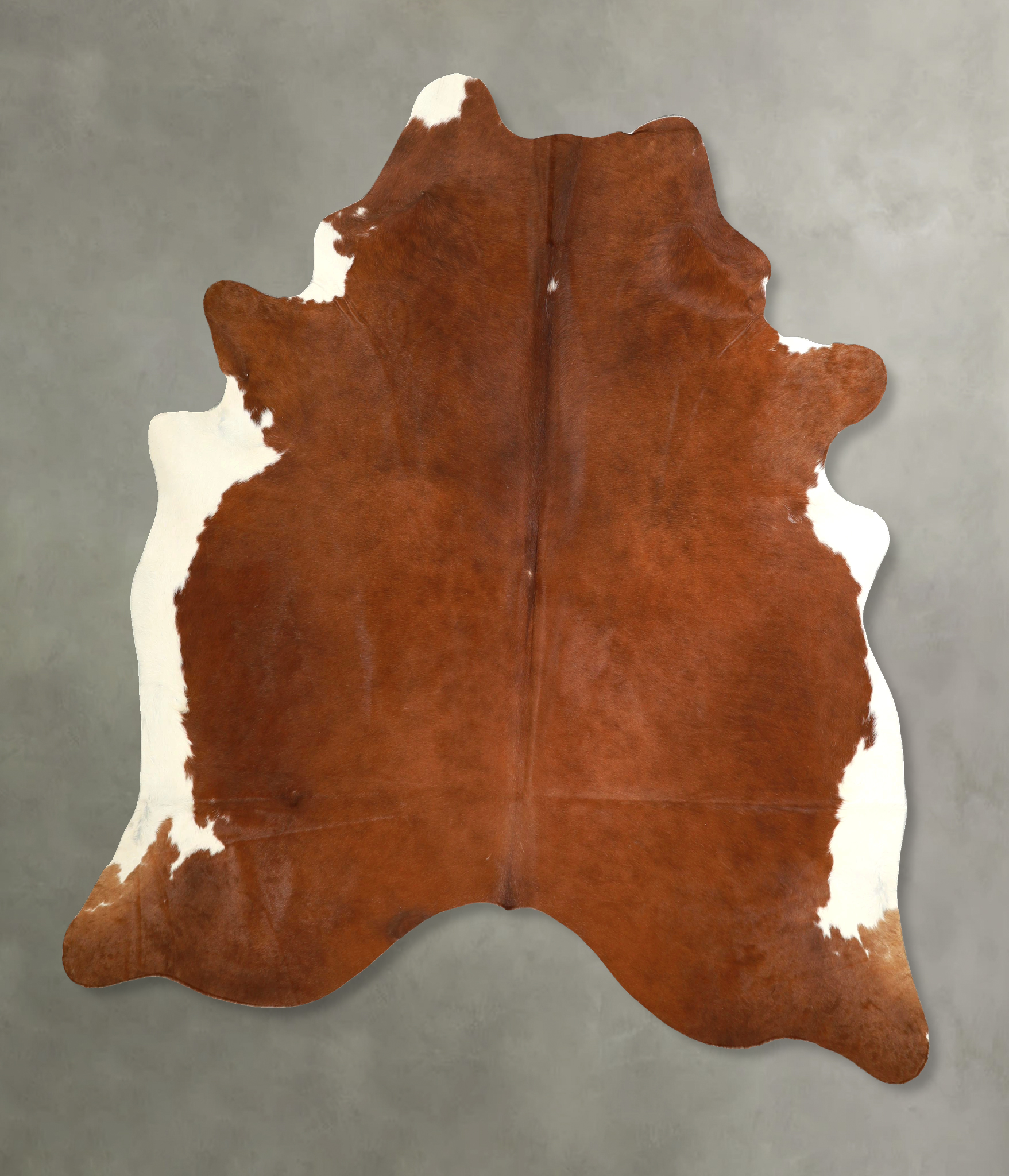 Brown and White Regular Cowhide Rug #A49945