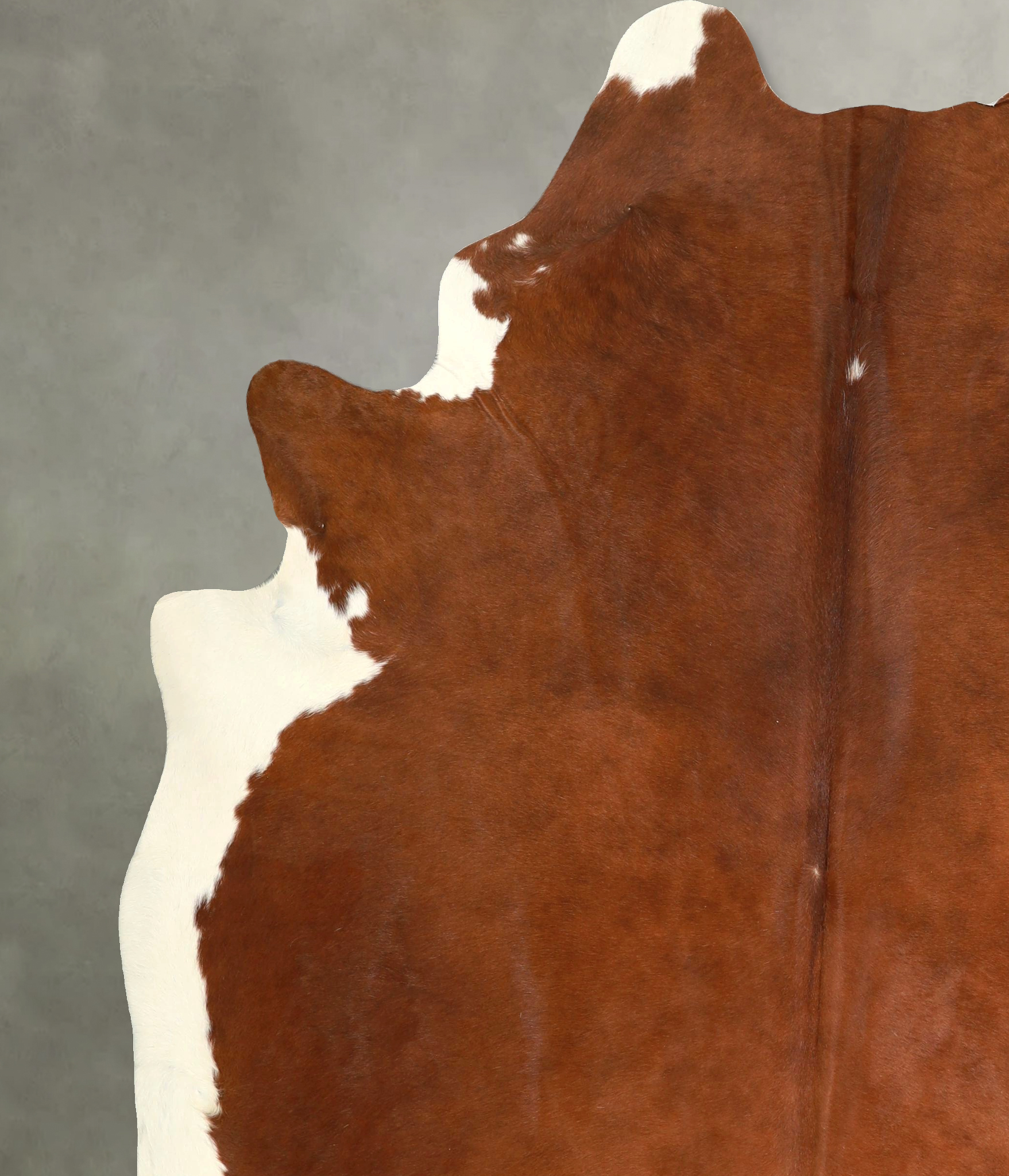 Brown and White Regular Cowhide Rug #A49945