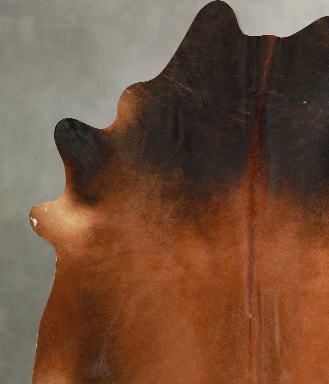 Warm Caramel XX-Large Brazilian Cowhide Rug 7'9"H x 7'1"W #A49947 by H