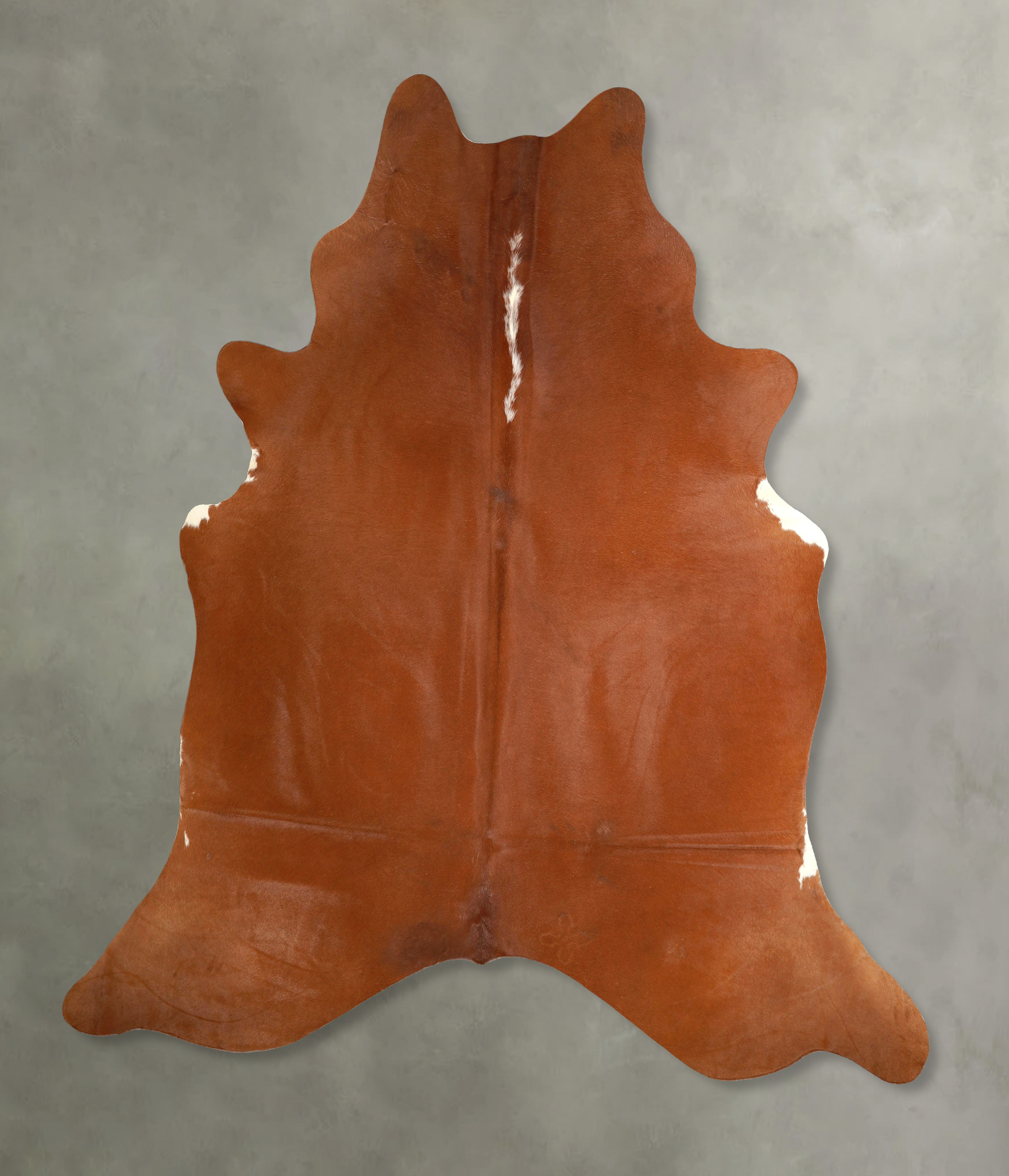 Brown and White Regular Cowhide Rug #A49949