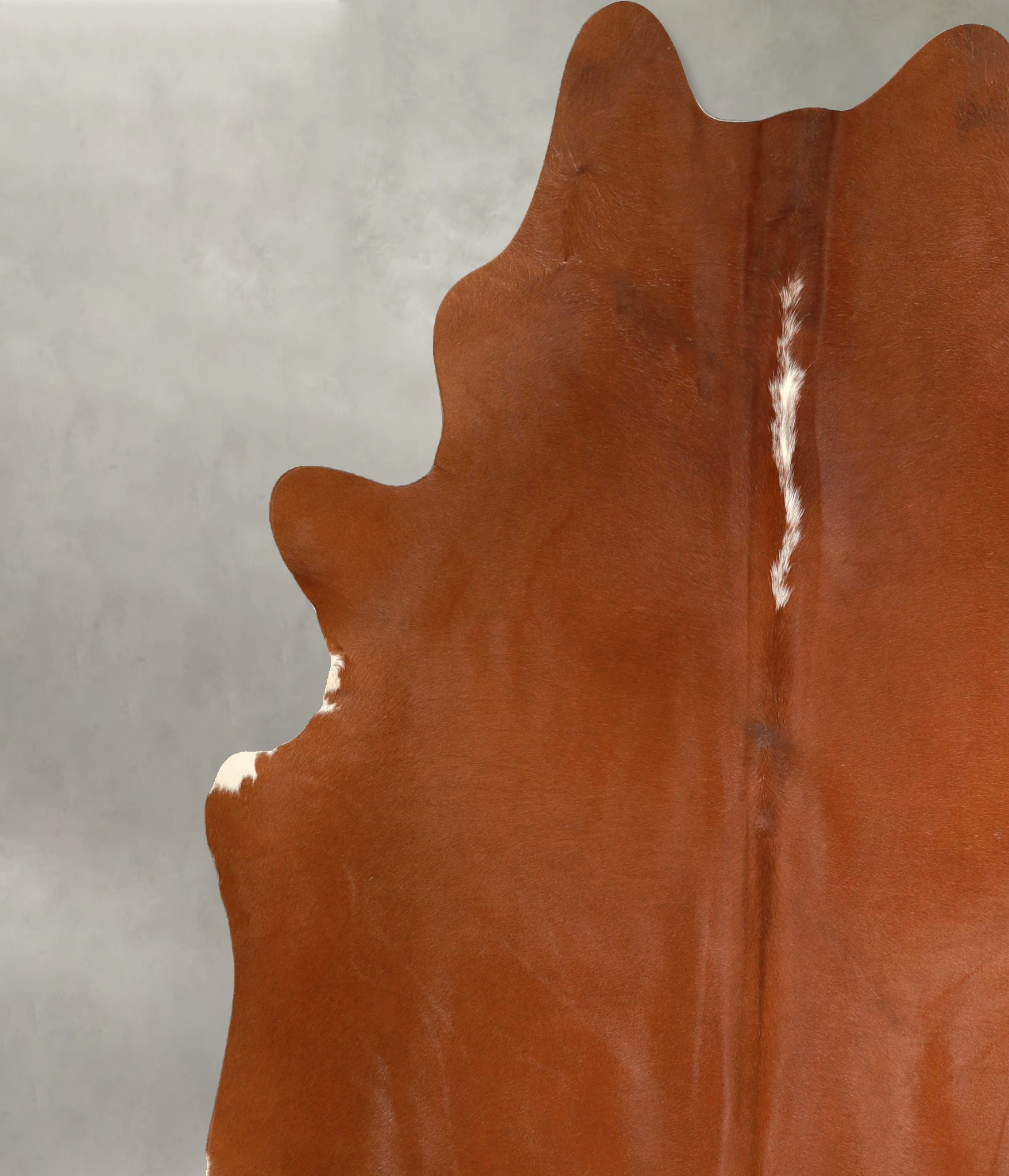 Brown and White Regular Cowhide Rug #A49949