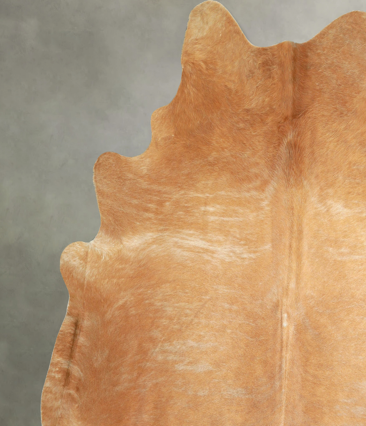 Beige XX-Large Brazilian Cowhide Rug 8'1"H x 7'4"W #A49950 by Hudson Hides