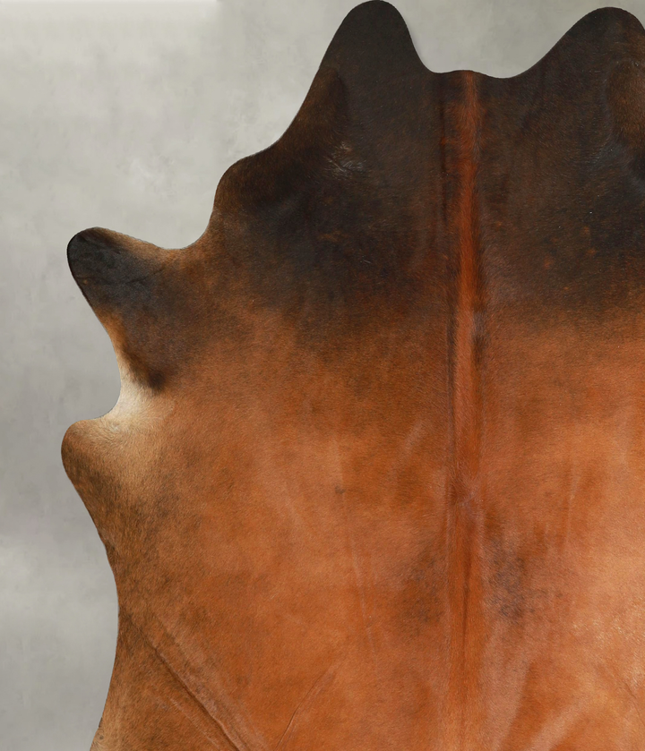 Warm Caramel X-Large Brazilian Cowhide Rug 7'5"H x 6'7"W #A49951 by Hudson Hides