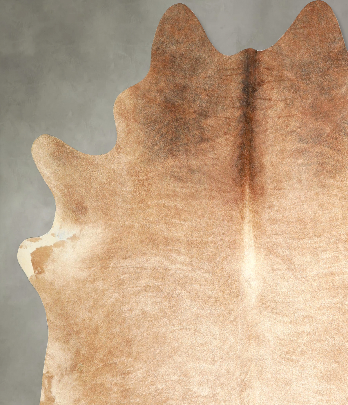 Beige XX-Large Brazilian Cowhide Rug 7'3"H x 7'1"W #A49958 by Hudson Hides