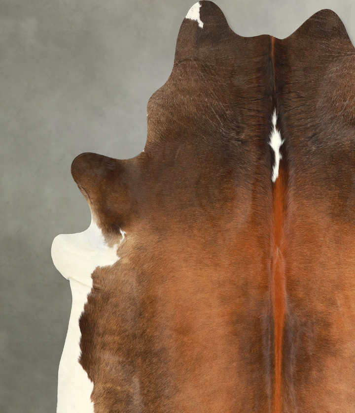 Warm Caramel X-Large Brazilian Cowhide Rug 7'4"H x 6'9"W #A49961 by Hudson Hides