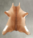 Calfhide Approx 2'x3' #A49970 by Hudson Hides