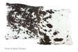 Black and White Cowhide Pillow 20x20 #A50080 by Hudson Hides