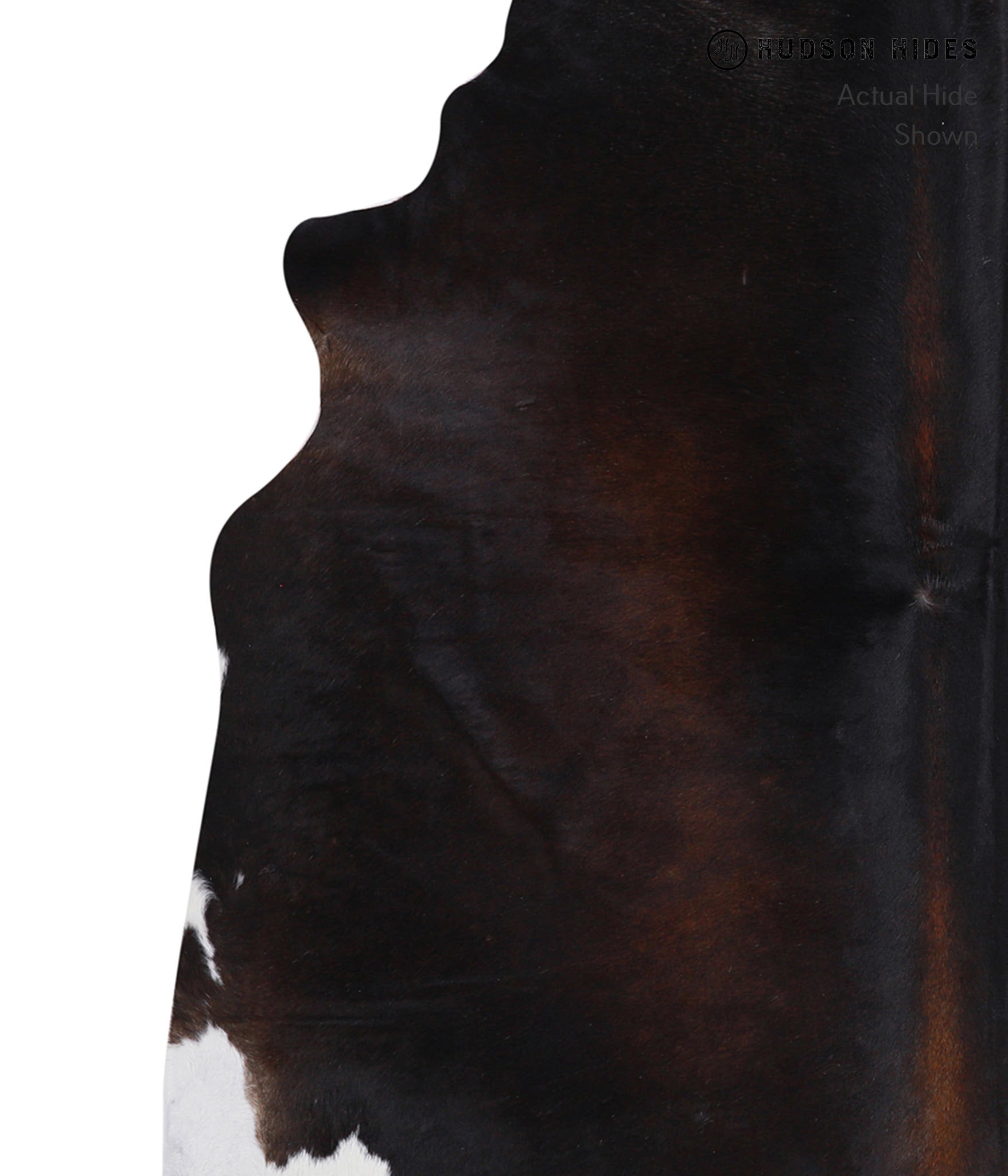 Chocolate and White Cowhide Rug #A5027