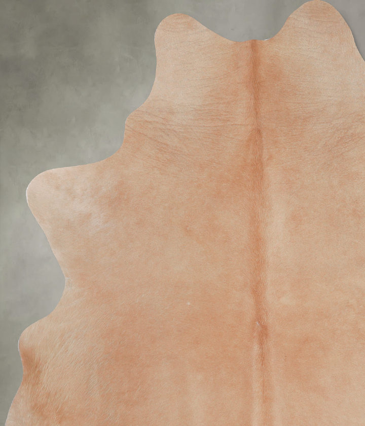 Beige X-Large Brazilian Cowhide Rug 6'11"H x 5'11"W #A5041 by Hudson Hides