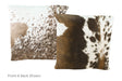 Chocolate Cowhide Pillow 16x16 #A50825 by Hudson Hides