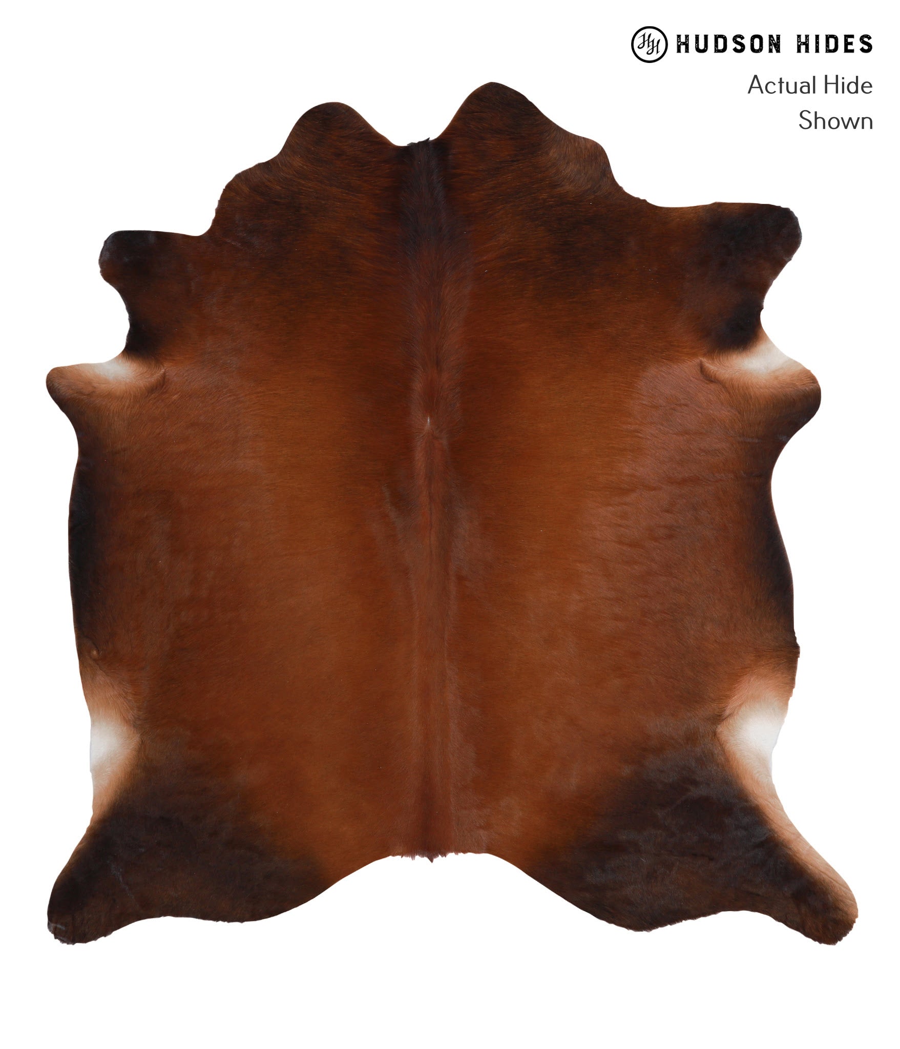 Brown with Red Cowhide Rug #A5110