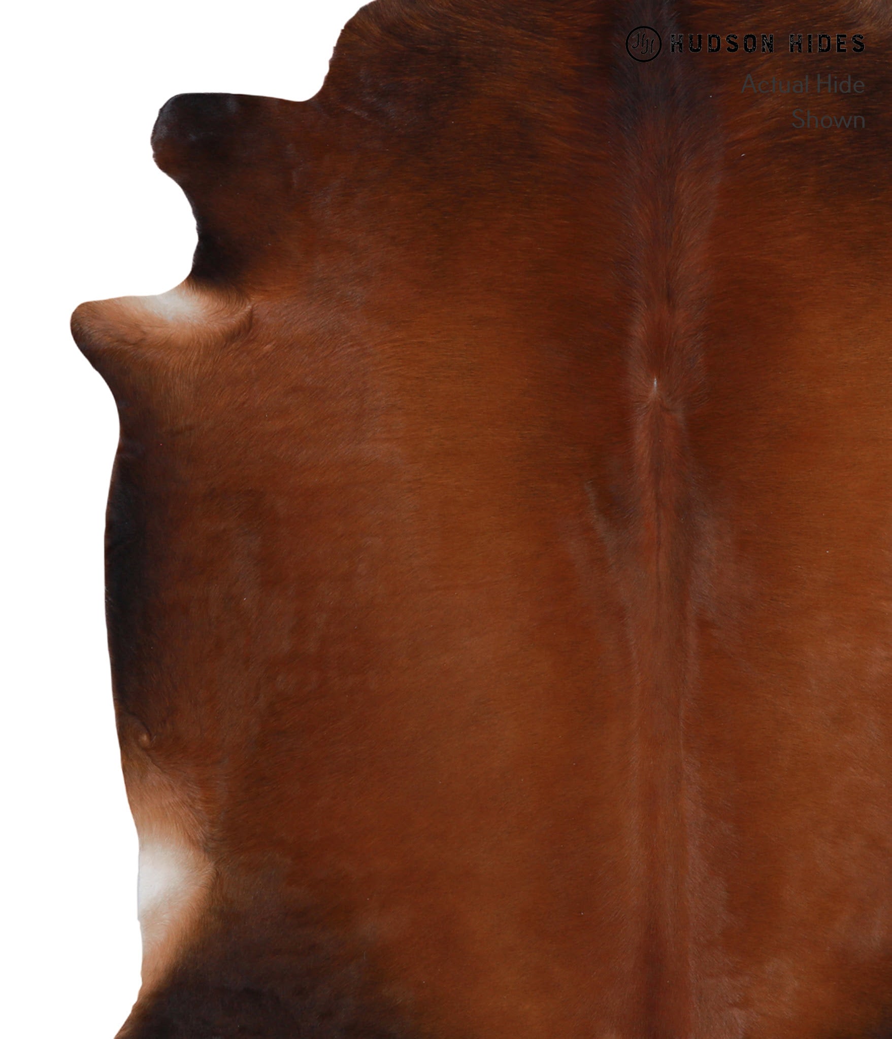 Brown with Red Cowhide Rug #A5110