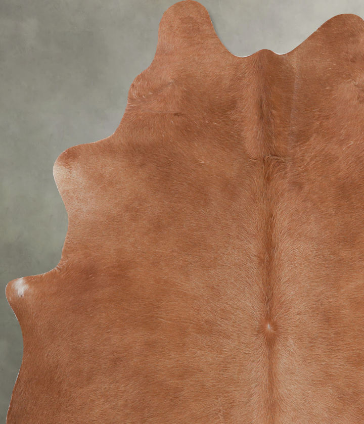 Solid Brown Large Brazilian Cowhide Rug 6'3"H x 5'5"W #A5147 by Hudson Hides