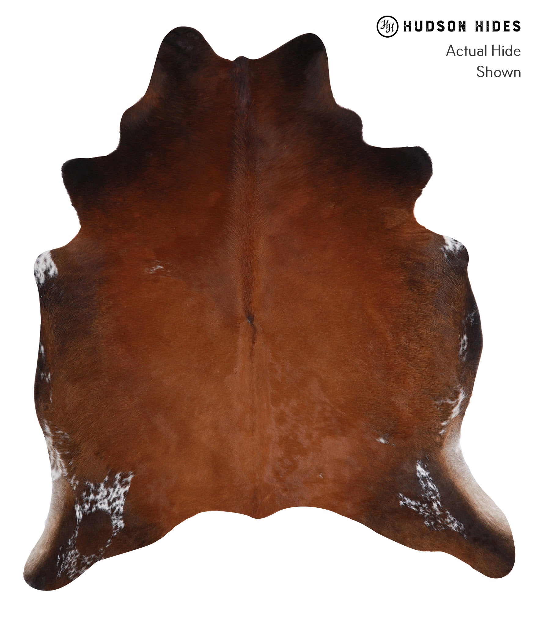 Brown with Red Cowhide Rug #A5161