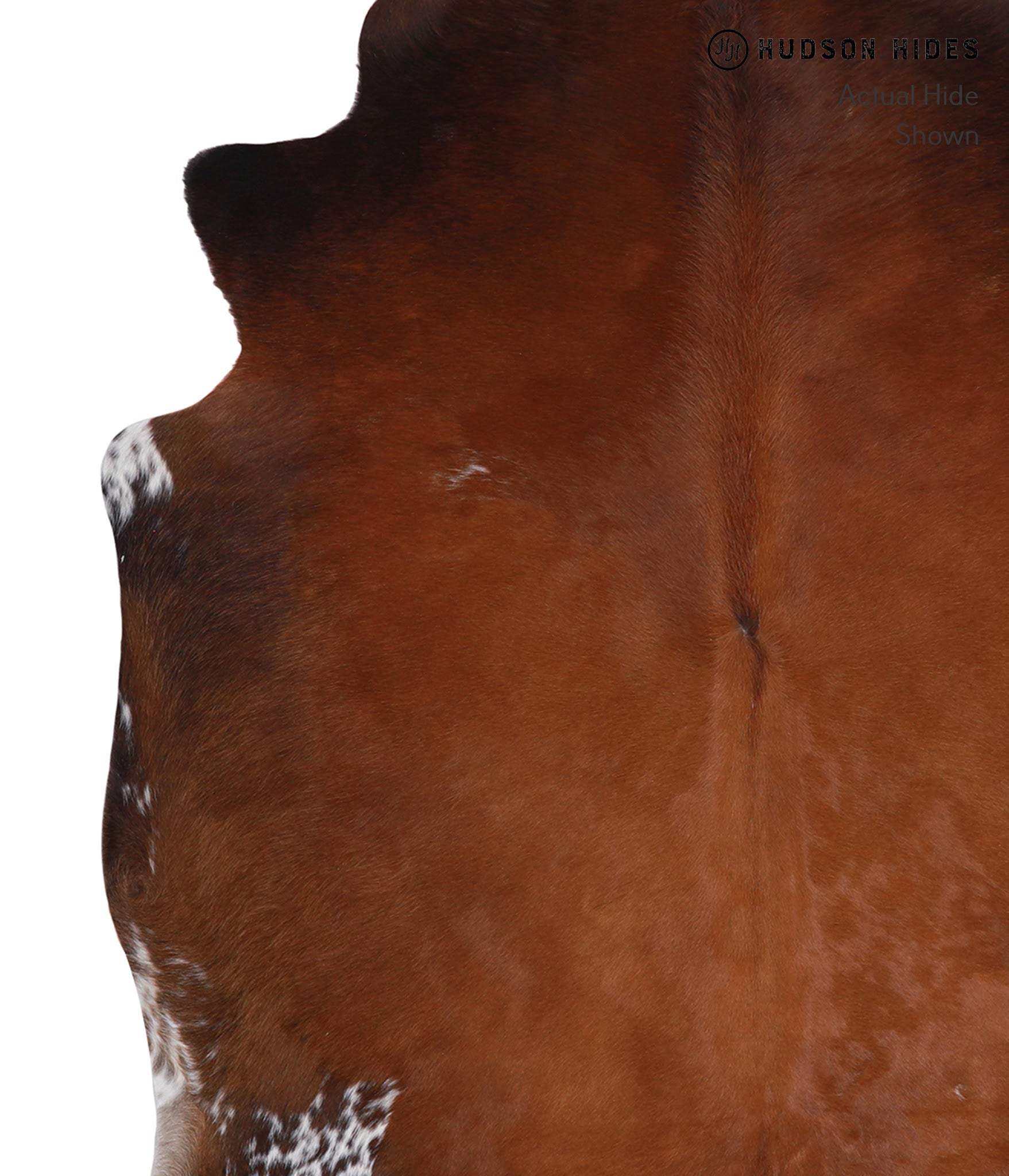 Brown with Red Cowhide Rug #A5161
