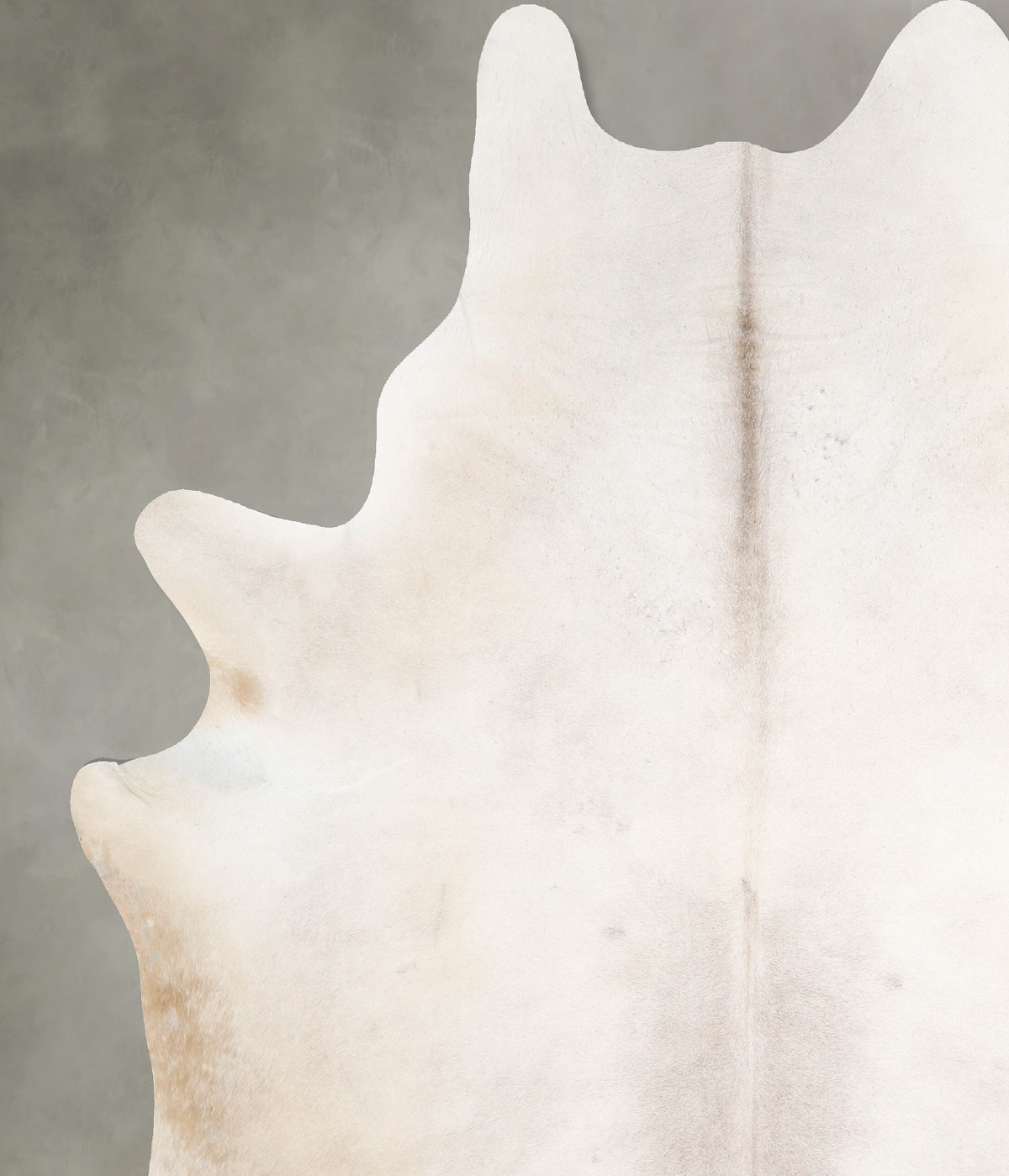 Ivory with Beige XX-Large Brazilian Cowhide Rug 7'10"H x 6'10"W #A53183 by Hudson Hides