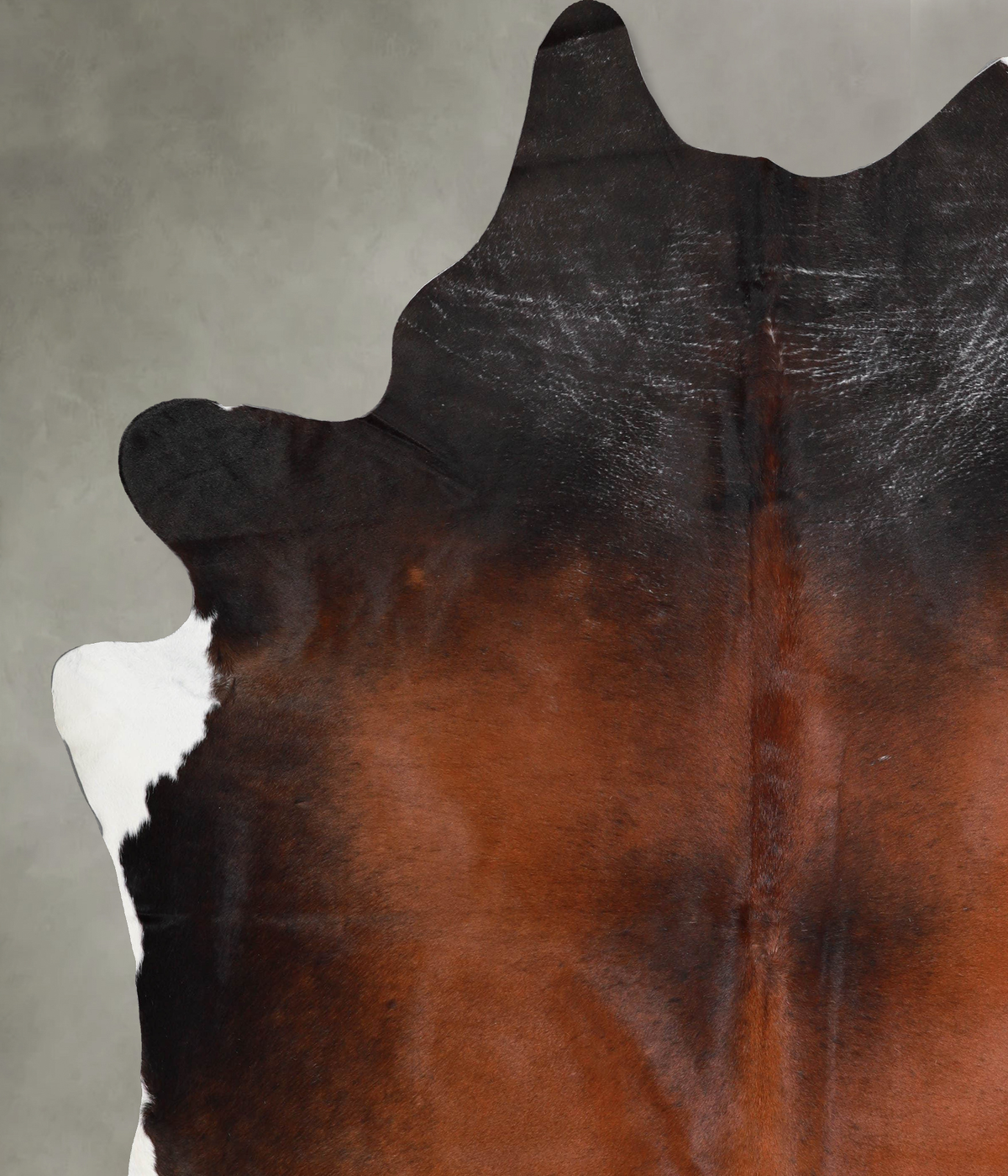 Warm Caramel XX-Large Brazilian Cowhide Rug 8'9"H x 7'5"W #A53187 by Hudson Hides