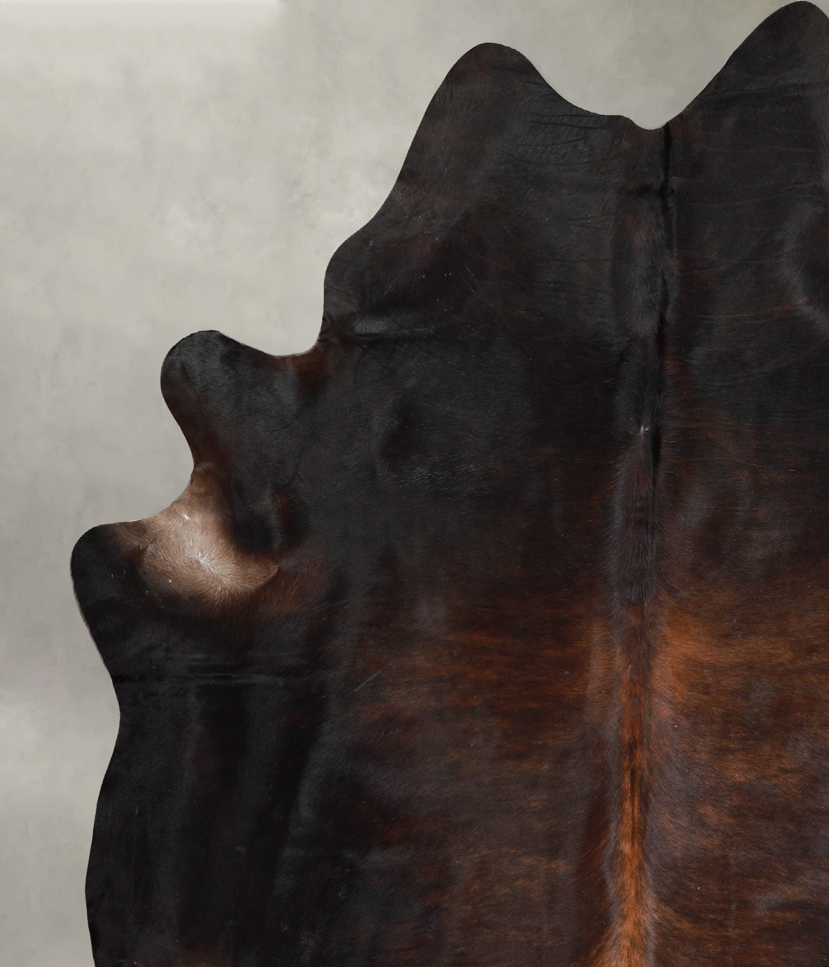 Dark Brindle XX-Large Brazilian Cowhide Rug 8'0"H x 6'11"W #A53191 by Hudson Hides