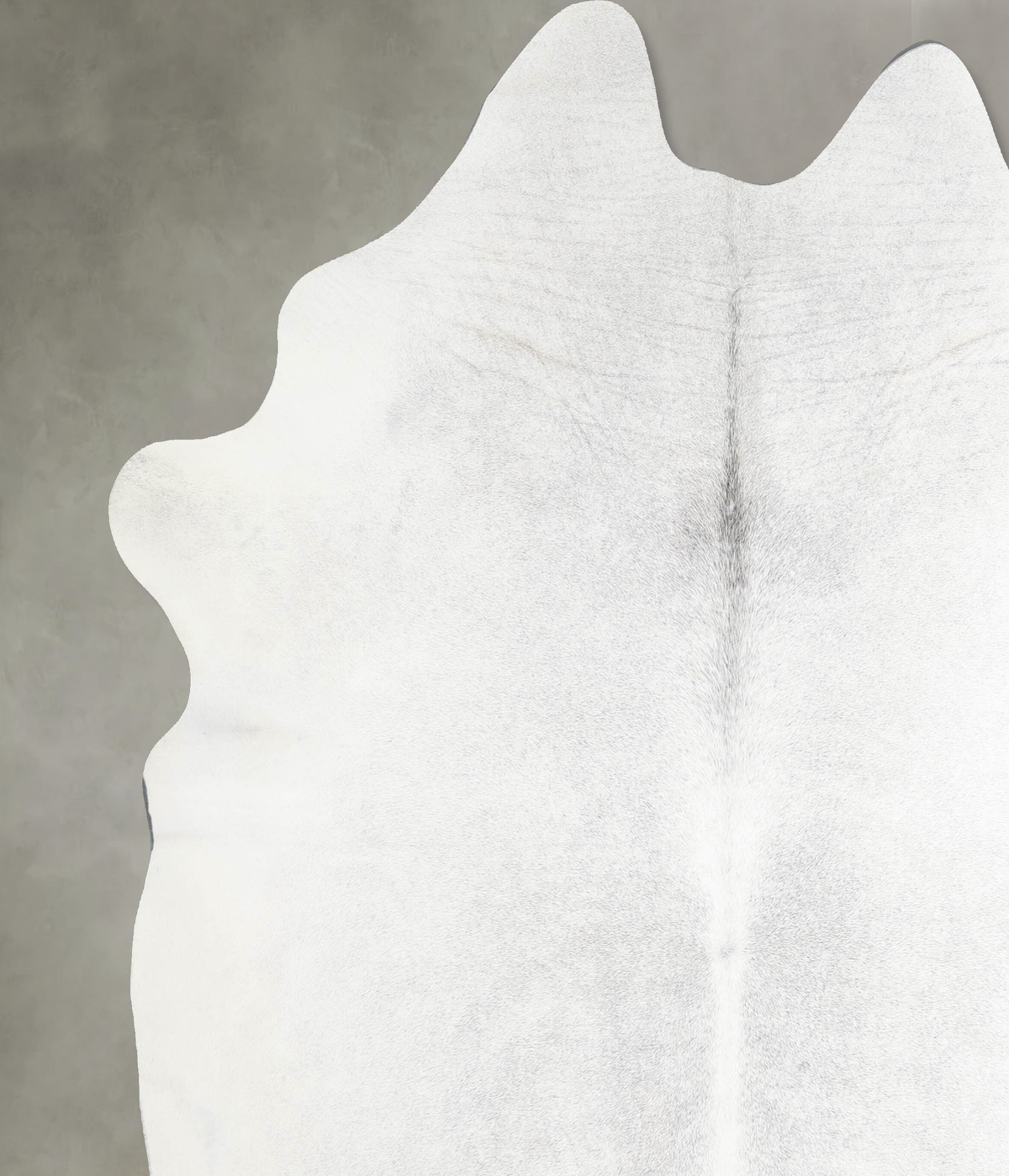 Light Grey XX-Large Brazilian Cowhide Rug 8'1"H x 7'3"W #A53194 by Hudson Hides