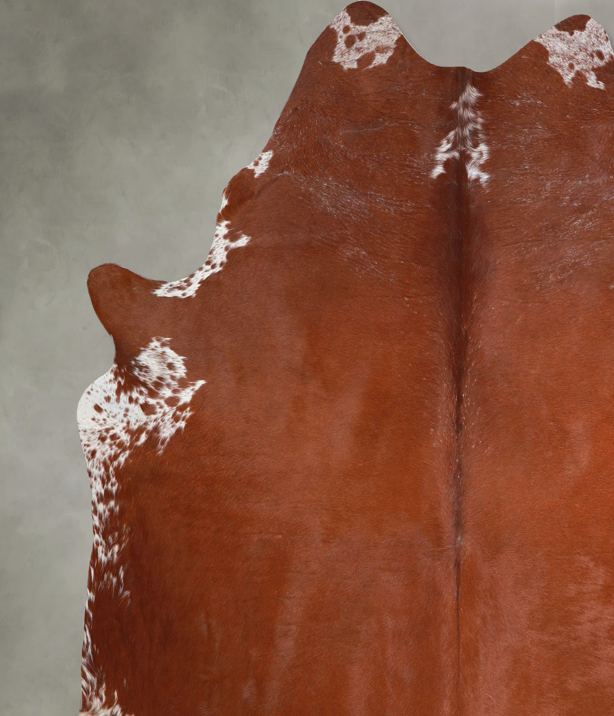 Solid Brown XX-Large Brazilian Cowhide Rug 7'7"H x 7'2"W #A53199 by Hudson Hides