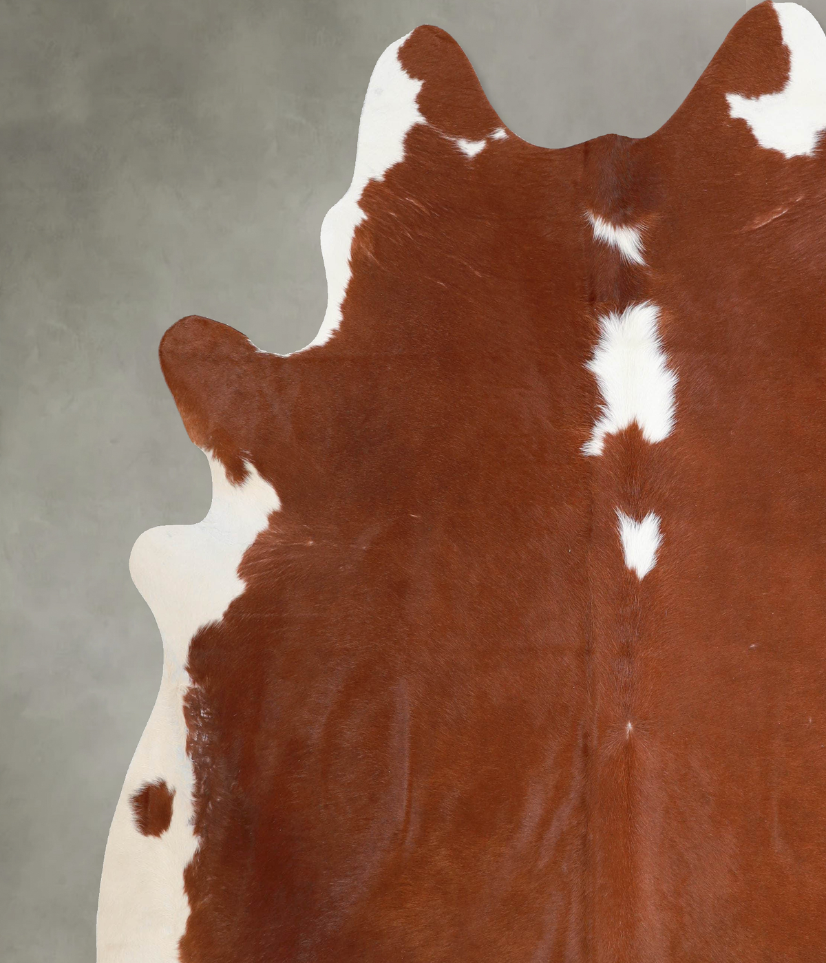 Brown and White Regular XX-Large Brazilian Cowhide Rug 7'6"H x 6'10"W #A53201 by Hudson Hides