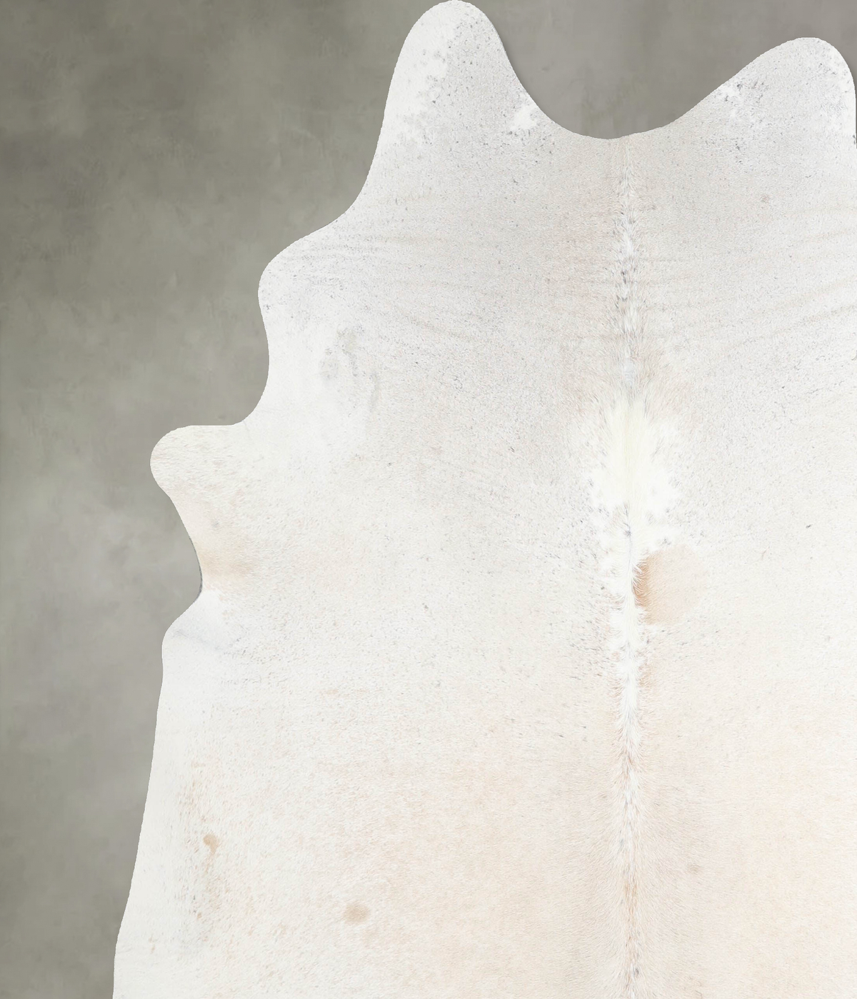 Ivory with Beige XX-Large Brazilian Cowhide Rug 7'6"H x 6'9"W #A53202 by Hudson Hides