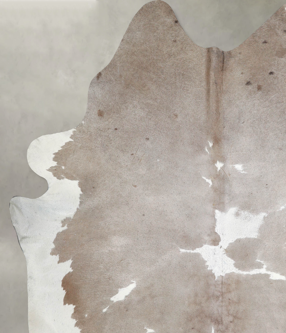 Taupe XX-Large Brazilian Cowhide Rug 7'9"H x 6'7"W #A53206 by Hudson Hides