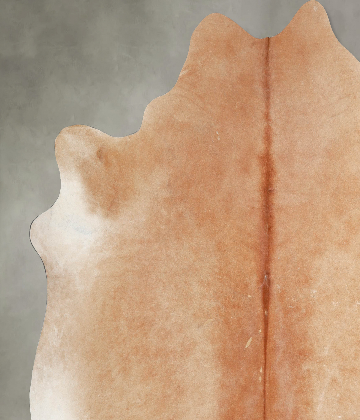 Beige XX-Large Brazilian Cowhide Rug 7'9"H x 7'3"W #A53209 by Hudson Hides