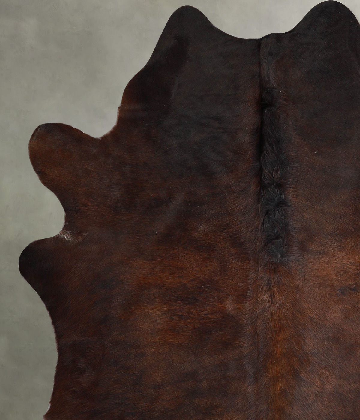 Chocolate XX-Large Brazilian Cowhide Rug 8'0"H x 6'9"W #A53210 by Hudson Hides