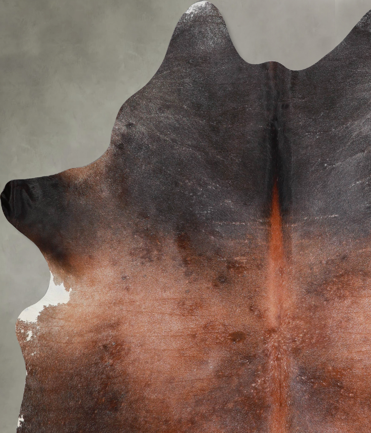 Chocolate and White X-Large Brazilian Cowhide Rug 7'7"H x 6'5"W #A53211 by Hudson Hides