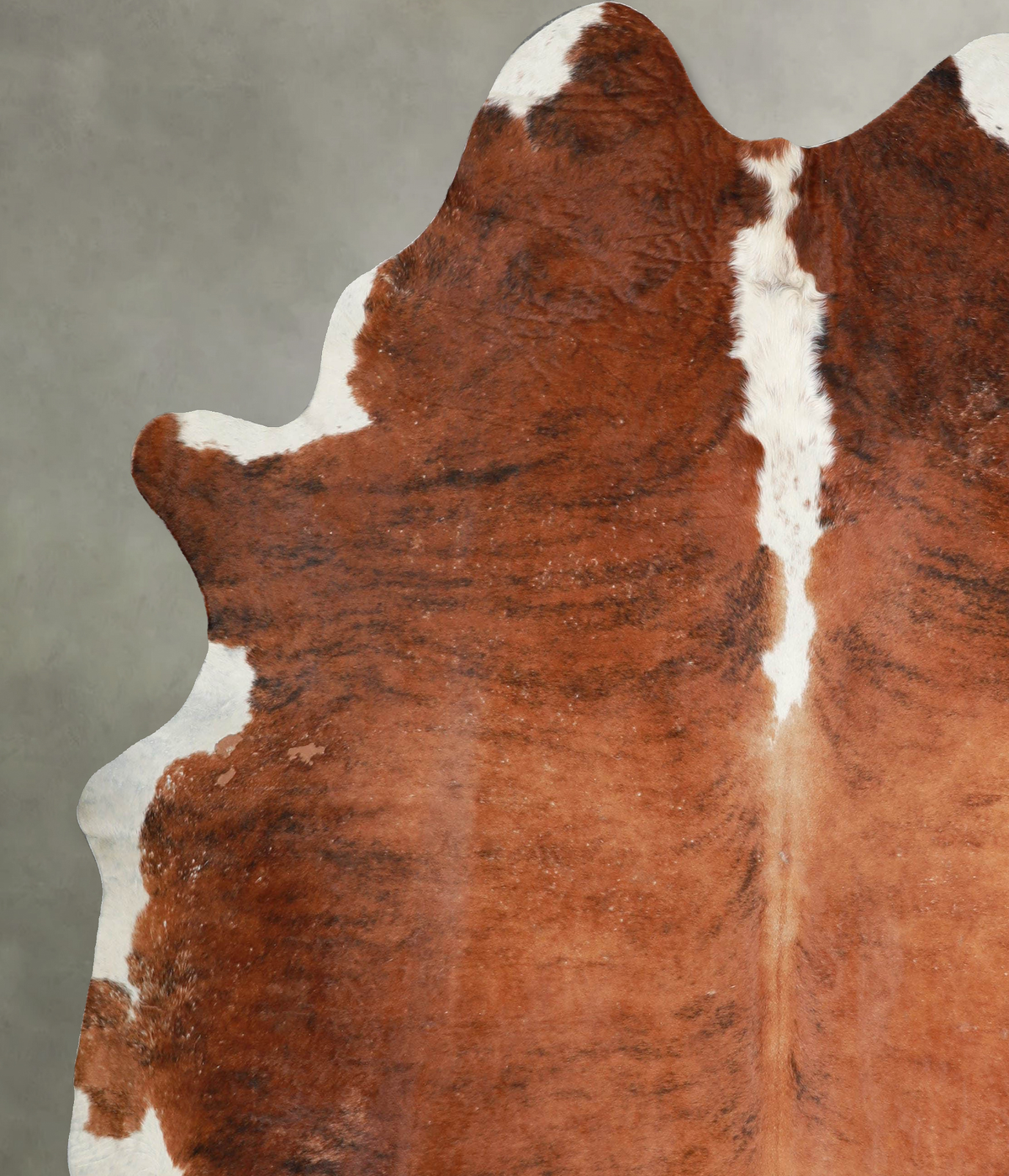 Medium Brindle XX-Large Brazilian Cowhide Rug 7'10"H x 6'10"W #A53212 by Hudson Hides