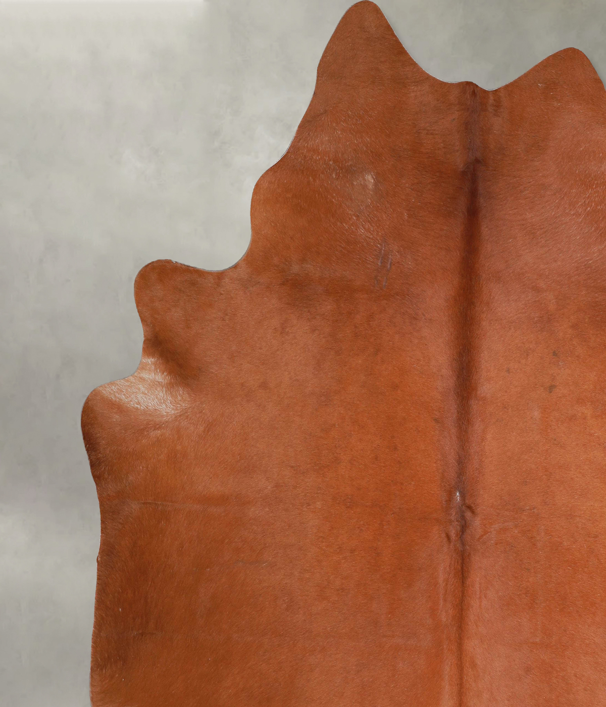 Solid Brown XX-Large Brazilian Cowhide Rug 7'11"H x 6'10"W #A53214 by Hudson Hides