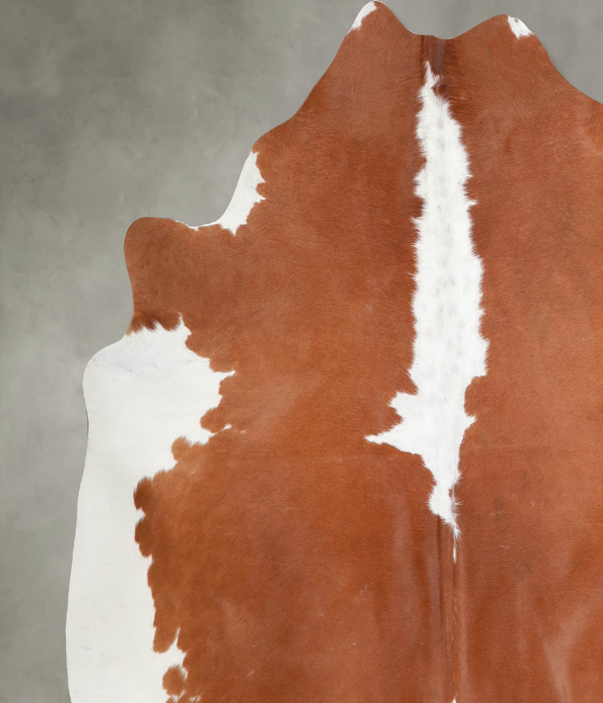 Hereford X-Large Brazilian Cowhide Rug 6'5"H x 6'8"W #A53217 by Hudson Hides