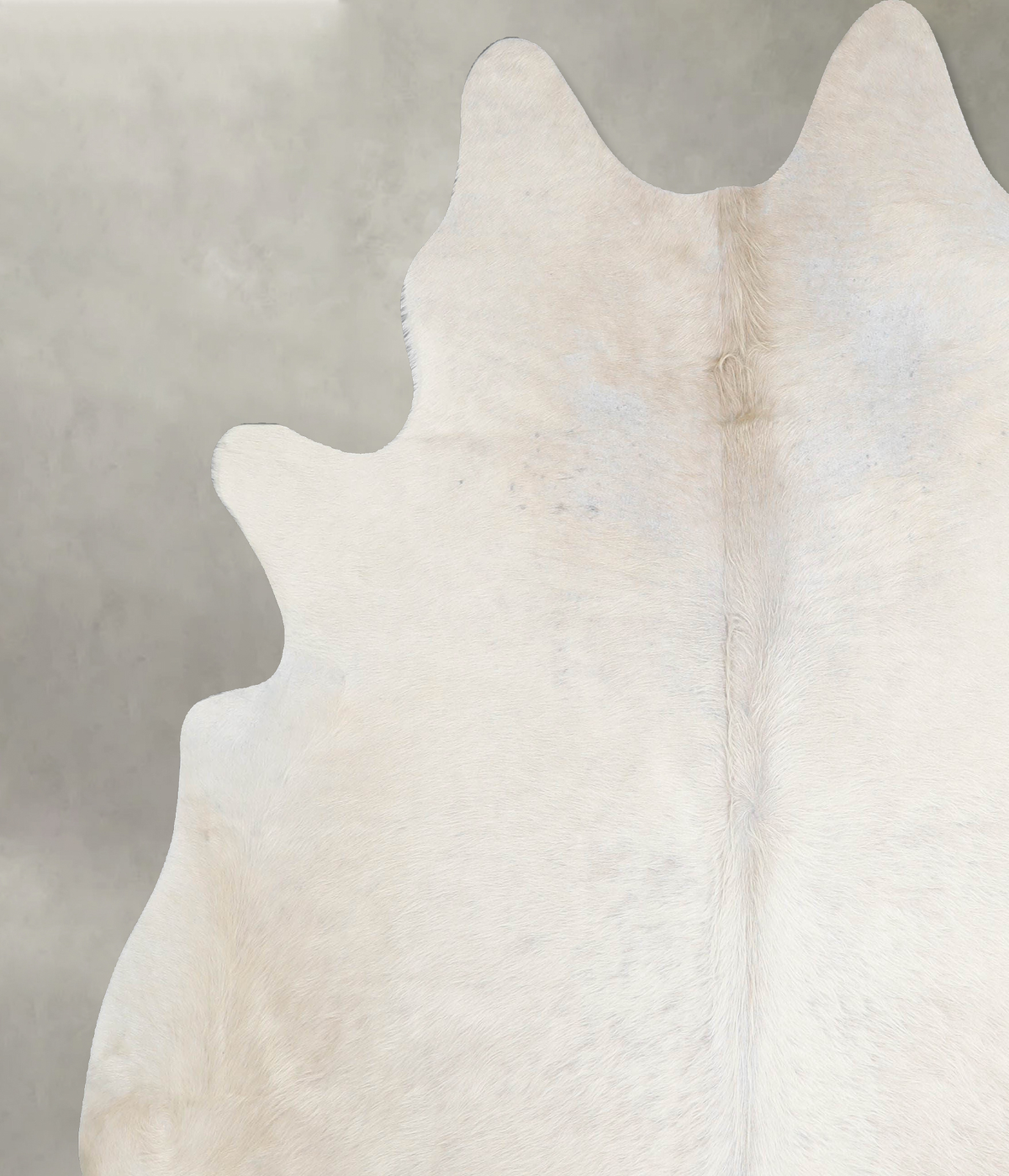 Solid White XX-Large Brazilian Cowhide Rug 7'4"H x 6'11"W #A53218 by Hudson Hides