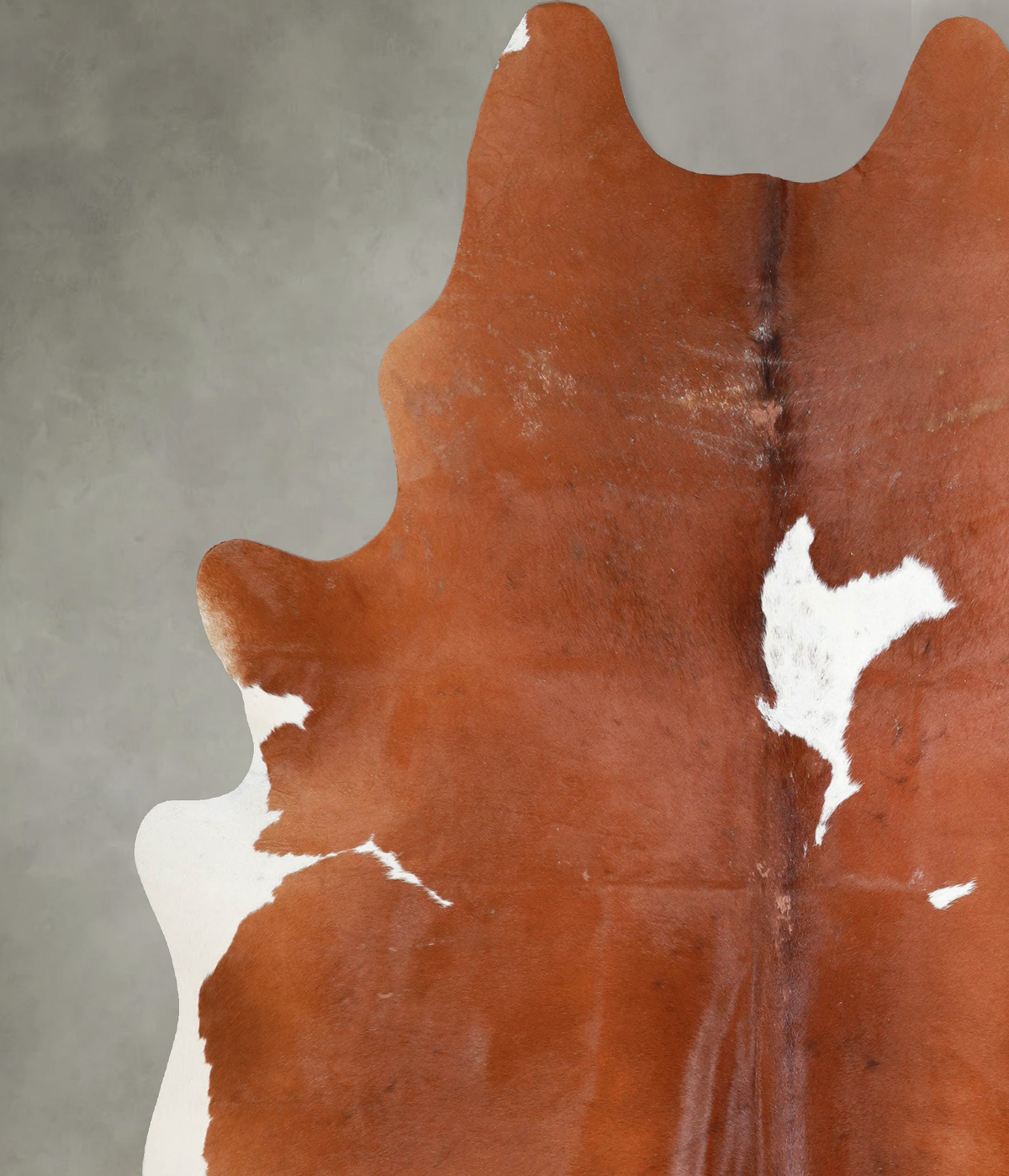 Brown and White XX-Large Brazilian Cowhide Rug 7'8"H x 6'8"W #A53219 by Hudson Hides