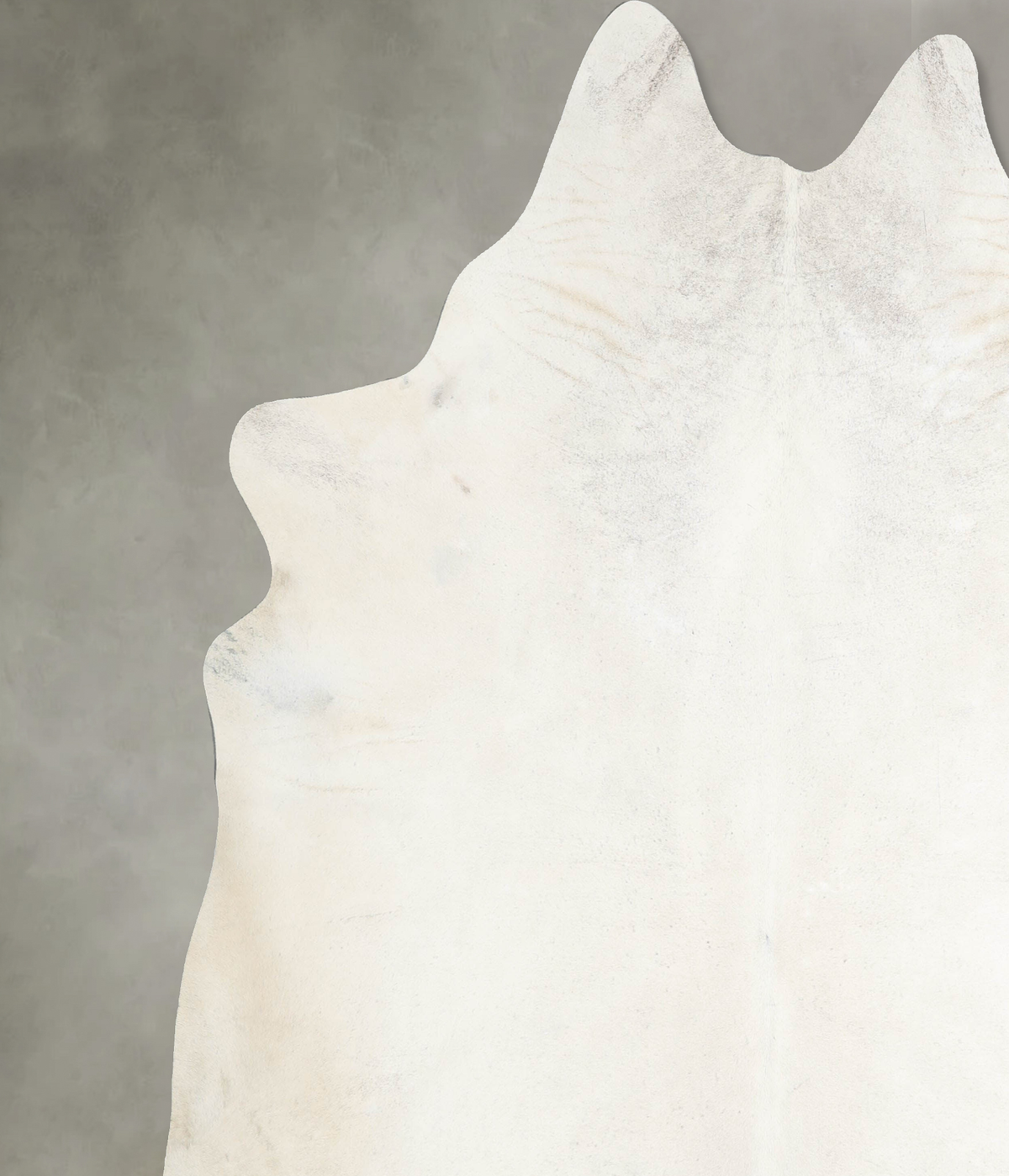 Ivory with Beige XX-Large Brazilian Cowhide Rug 8'0"H x 7'9"W #A53221 by Hudson Hides