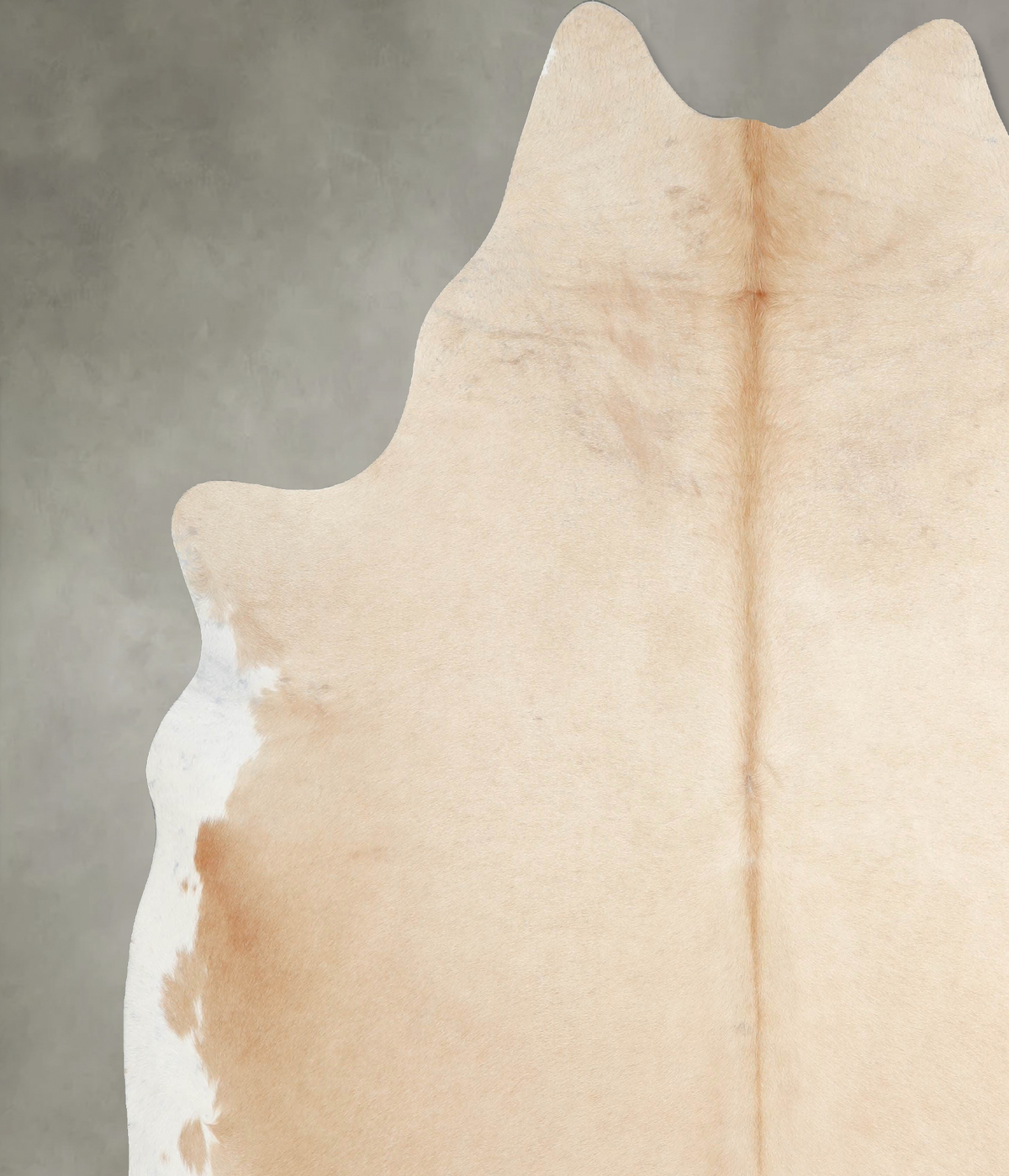 Palomino XX-Large Brazilian Cowhide Rug 7'7"H x 7'2"W #A53222 by Hudson Hides